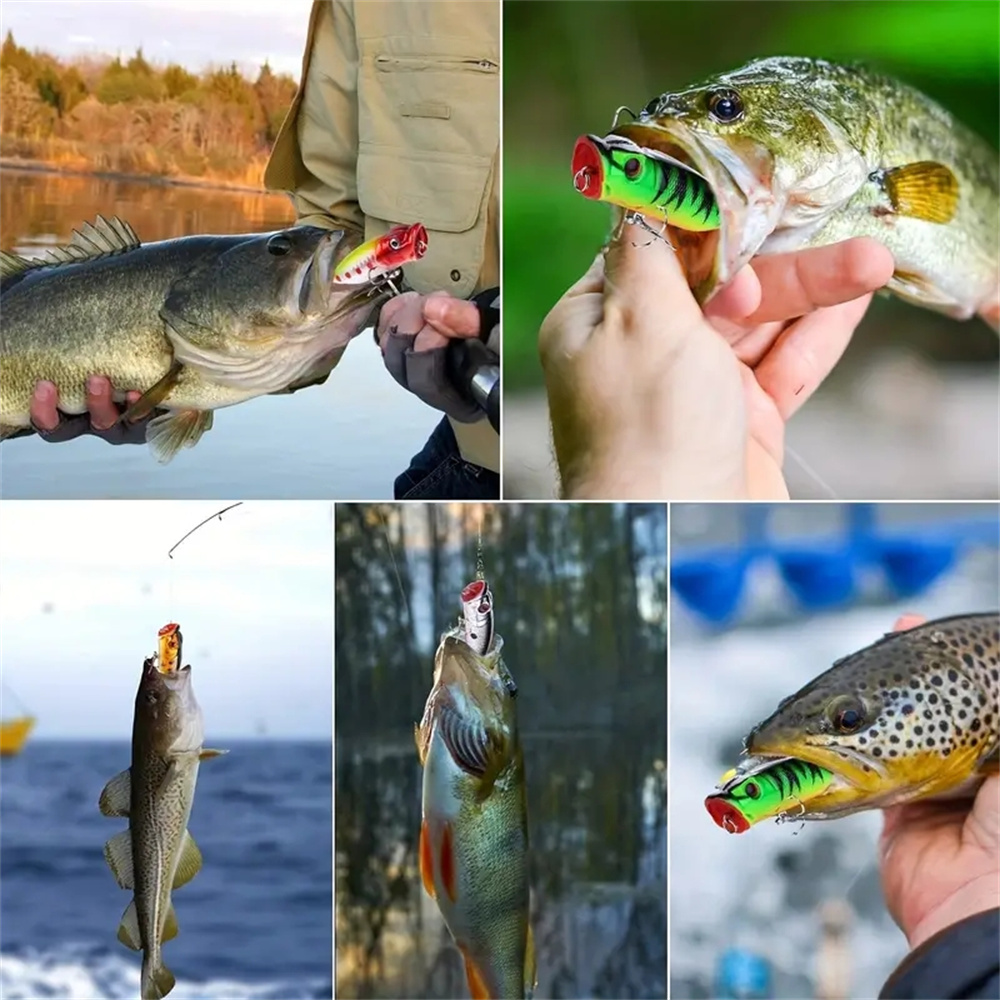 5Pcs Popper Fishing Lures 3d E - Fishing Lure Popper review and price